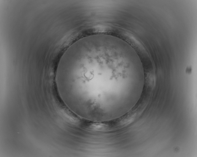X0000092300557200709141322