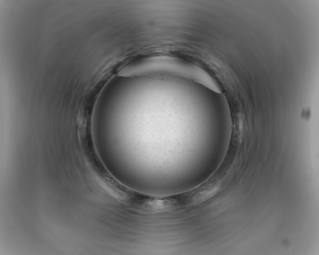 X0000092300558200709141322