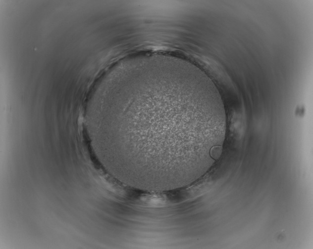 X0000092300559200709141322