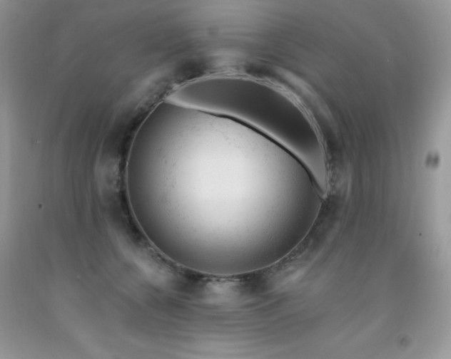 X0000092300560200709141322