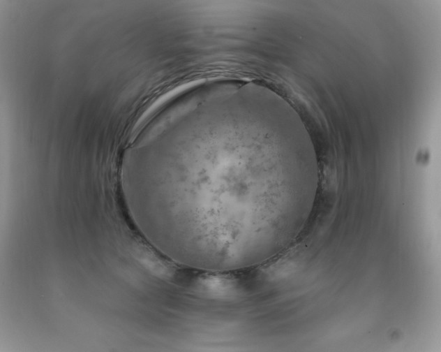 X0000092300561200709141322