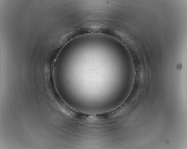 X0000092300562200709141322