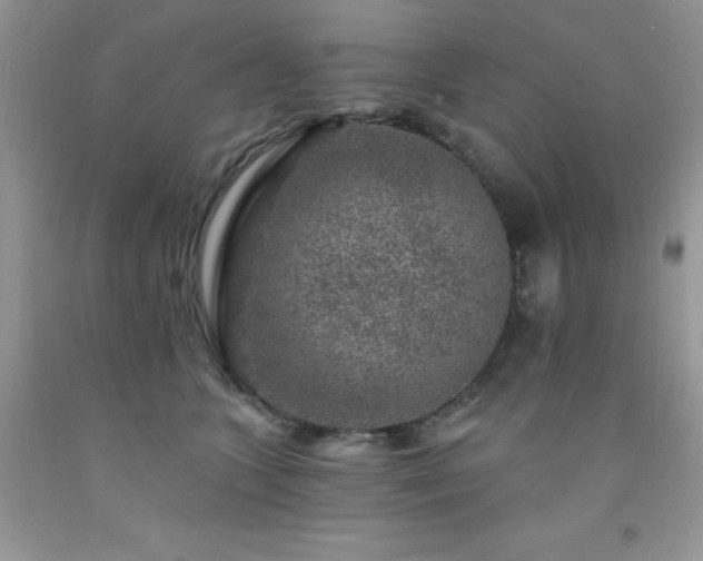 X0000092300563200709141322