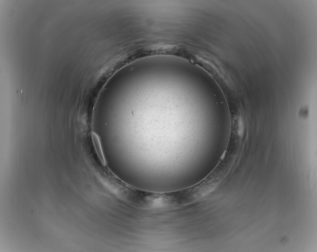 X0000092300564200709141322