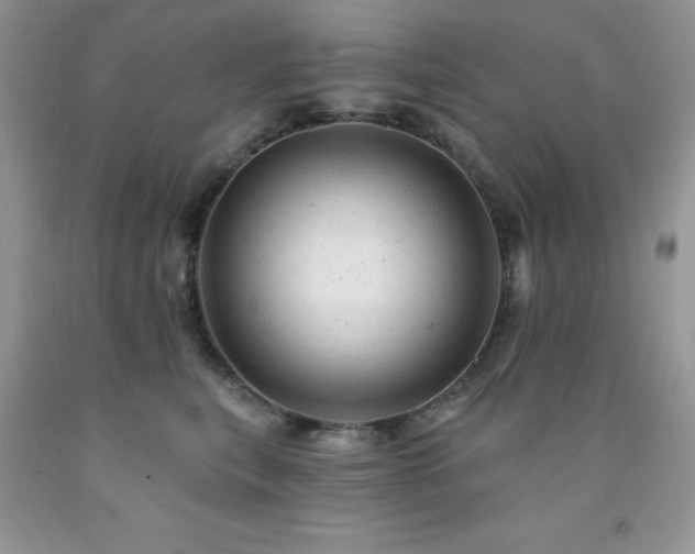 X0000092300567200709141322