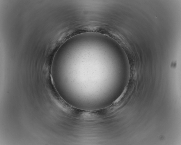 X0000092300568200709141322