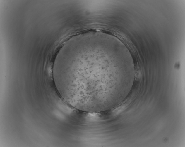 X0000092300573200709141322