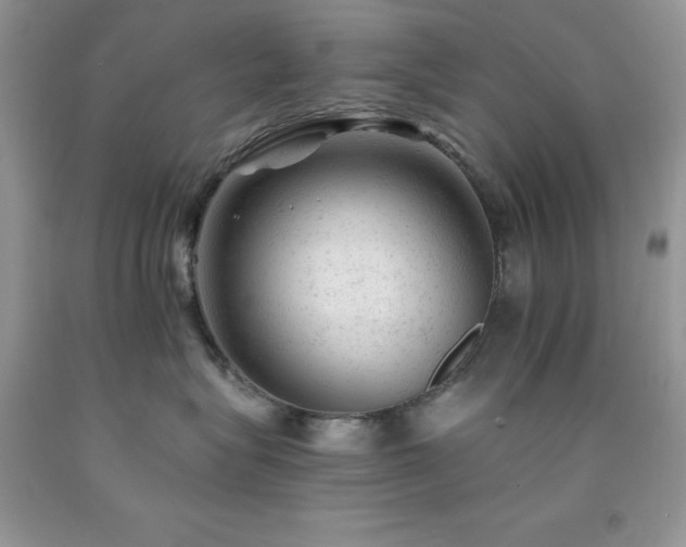 X0000092300575200709141322