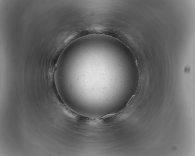 X0000092300576200709141322