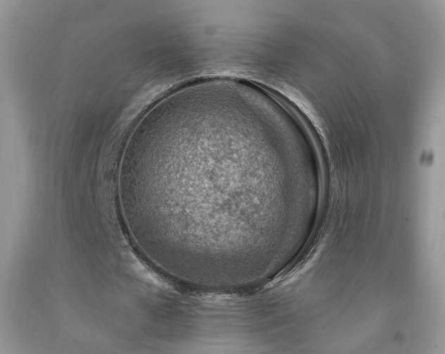 X0000092300577200709141322