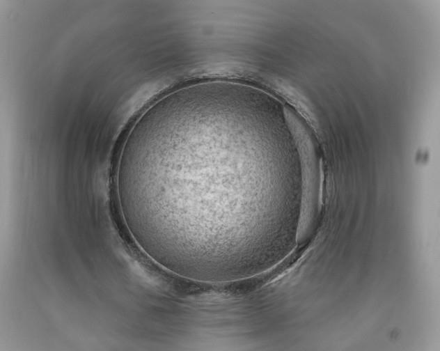 X0000092300578200709141321