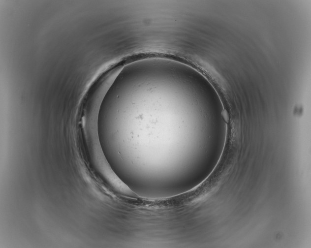 X0000092300580200709141321