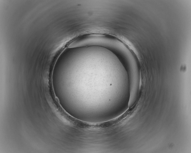 X0000092300581200709141321