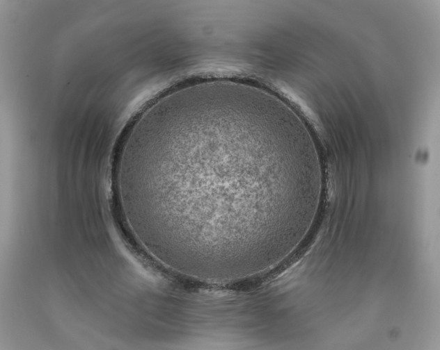 X0000092300582200709141321