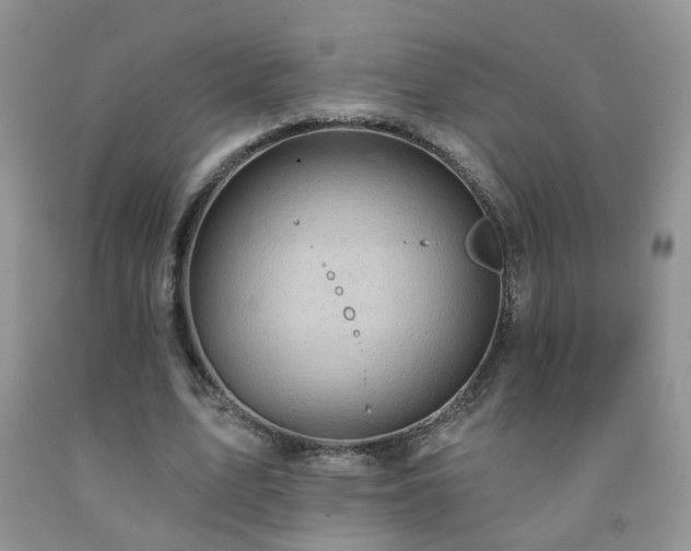 X0000092300583200709141321