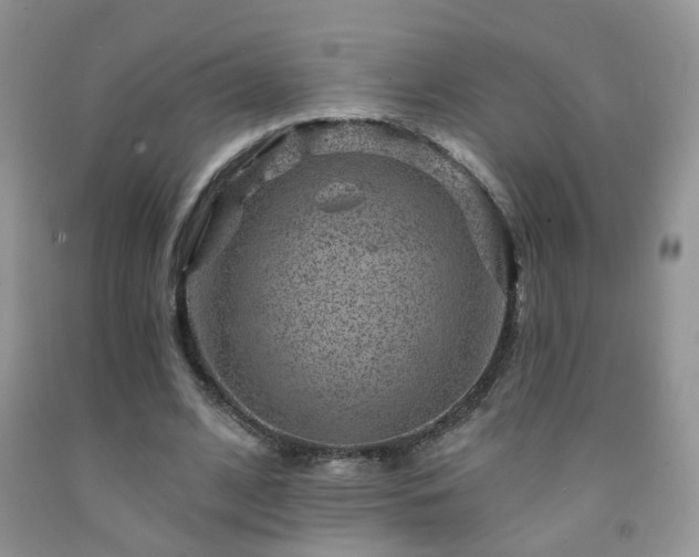 X0000092300584200709141321