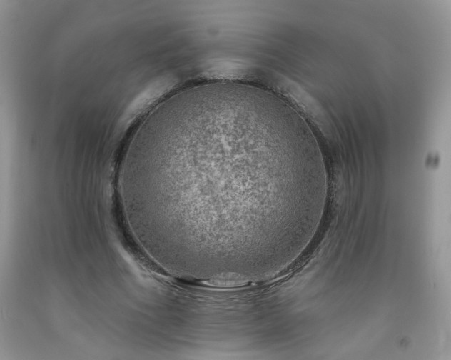 X0000092300586200709141321