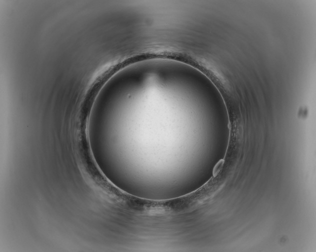 X0000092300587200709141321