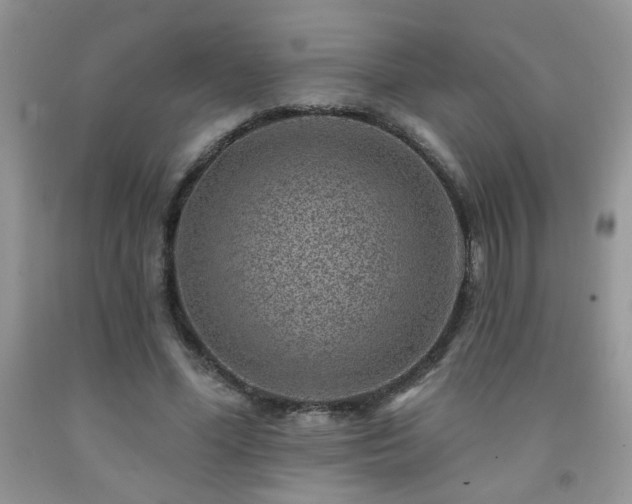 X0000092300588200709141321