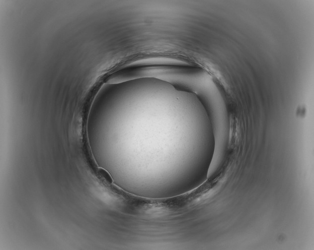 X0000092300589200709141321