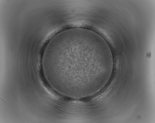 X0000092300590200709141321