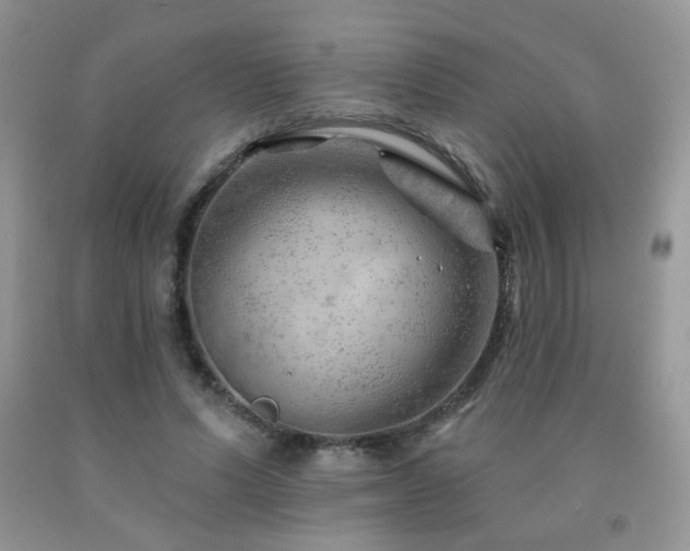 X0000092300591200709141321