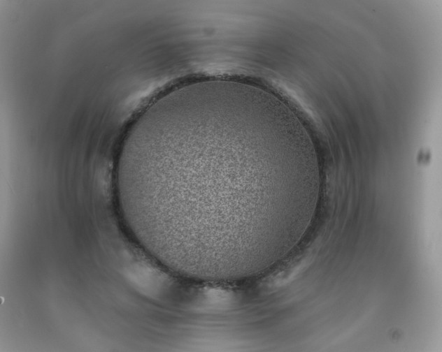 X0000092300592200709141321