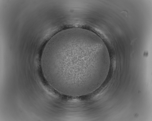 X0000092300594200709141321