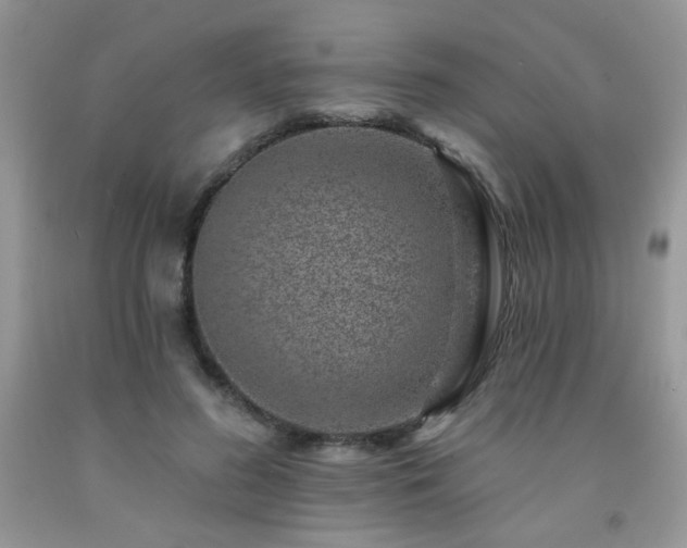 X0000092300596200709141321