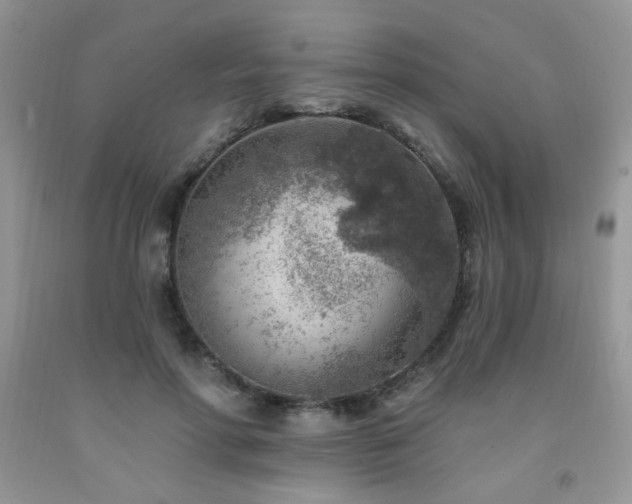 X0000092300598200709141321