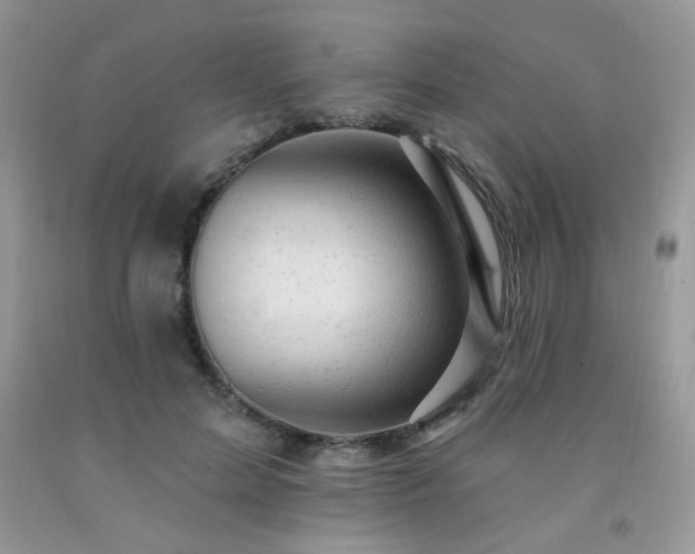 X0000092300599200709141321