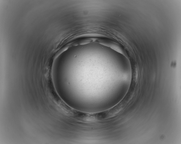 X0000092300604200709141321