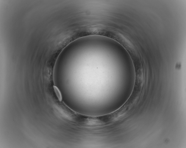 X0000092300605200709141321
