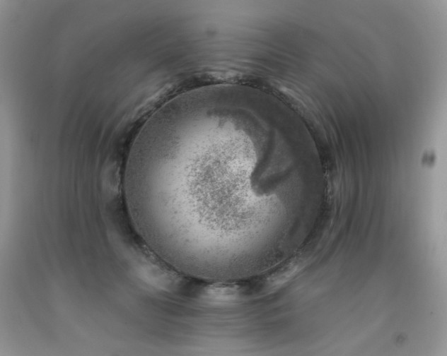 X0000092300606200709141321