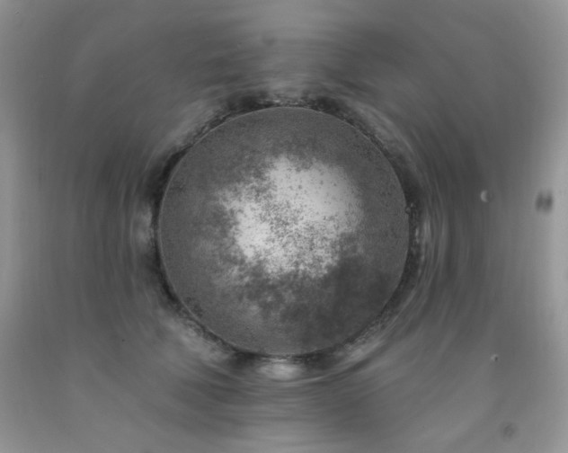X0000092300610200709141321