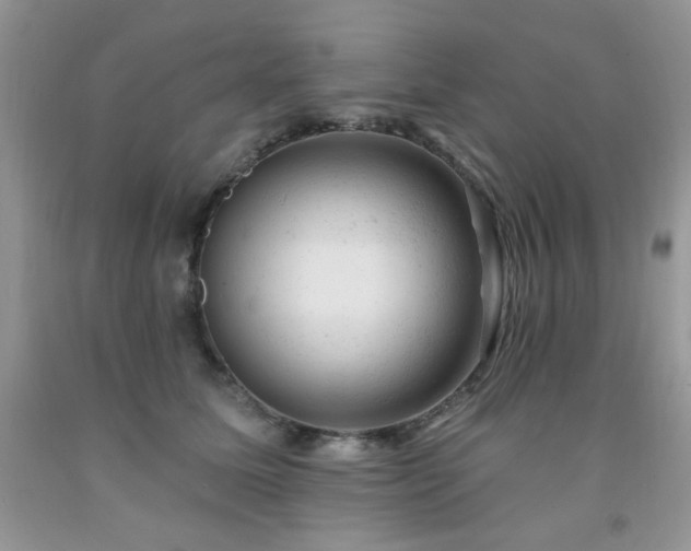 X0000092300611200709141321