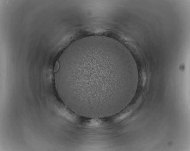 X0000092300612200709141321