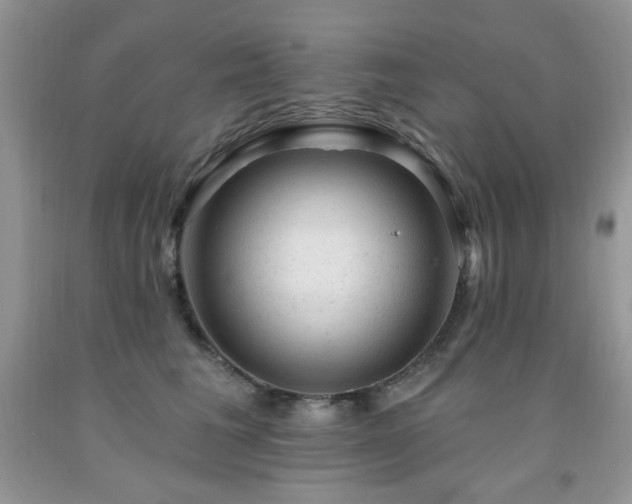 X0000092300613200709141321