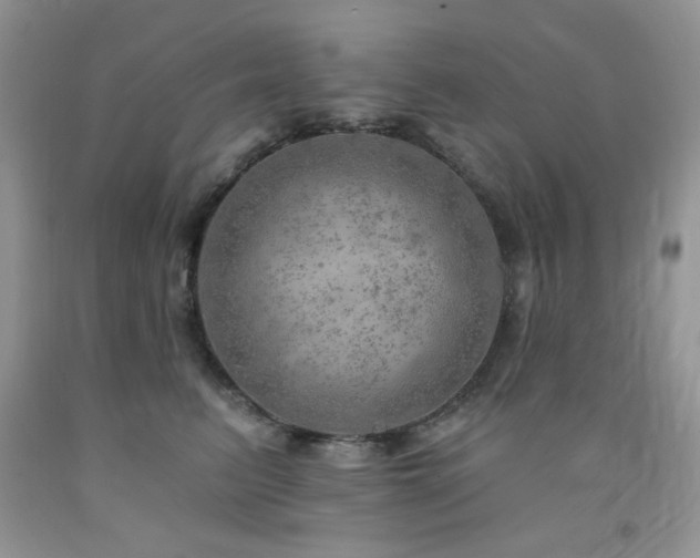 X0000092300615200709141321