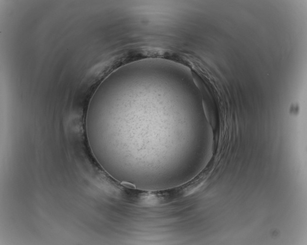 X0000092300616200709141321