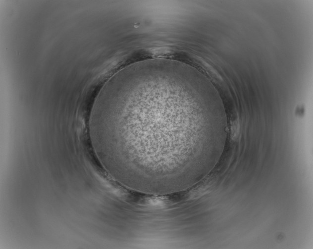 X0000092300618200709141321