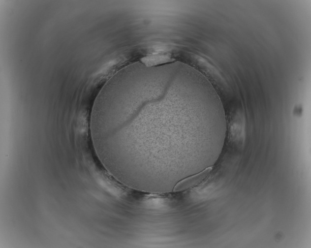 X0000092300620200709141321