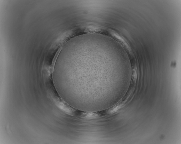 X0000092300621200709141321