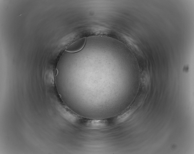 X0000092300622200709141321