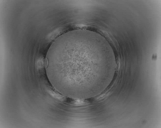 X0000092300623200709141321