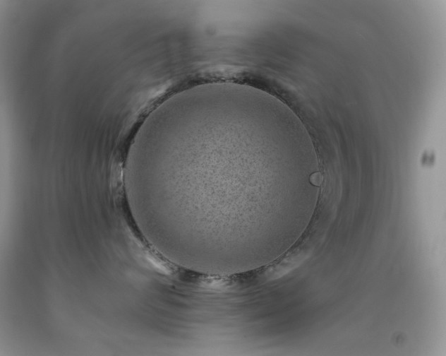 X0000092300624200709141321