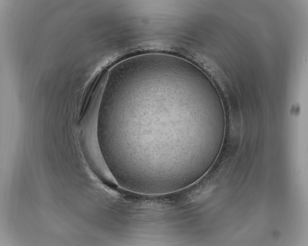 X0000092300625200709141320
