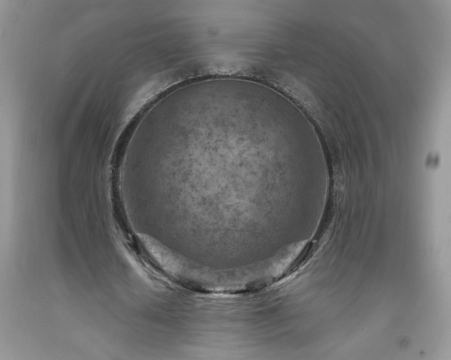 X0000092300626200709141320