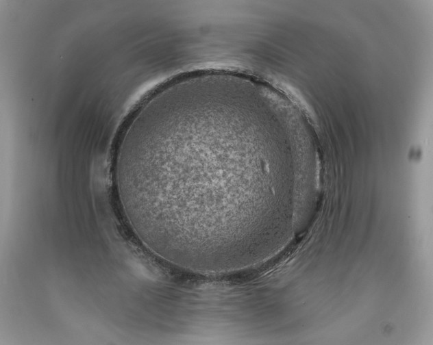 X0000092300628200709141320