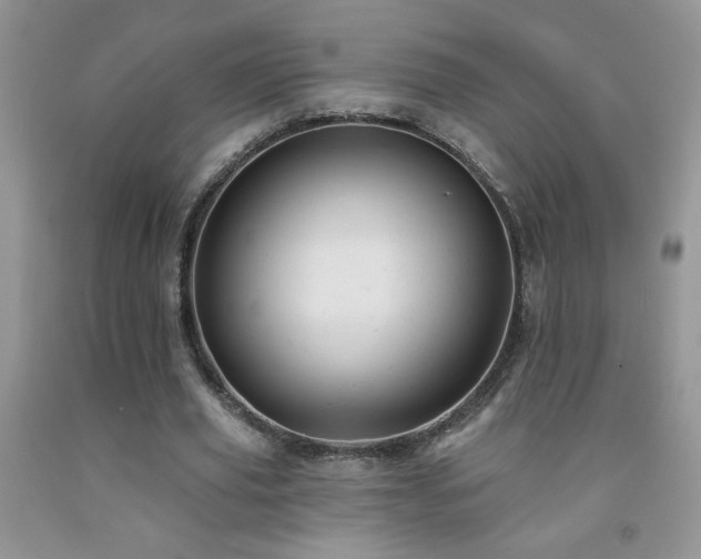 X0000092300629200709141320